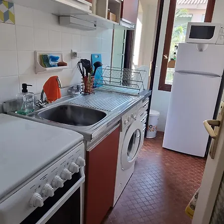 Apartment T2 Avec Terrasse Et Parking - Fr-1-309-533 *