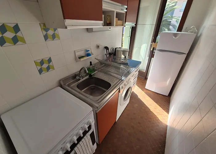 Appartamento T2 Avec Terrasse Et Parking - Fr-1-309-533